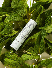 The Original Lanostick | Load image into Gallery viewer, Lanostick Minty on mint leaves
